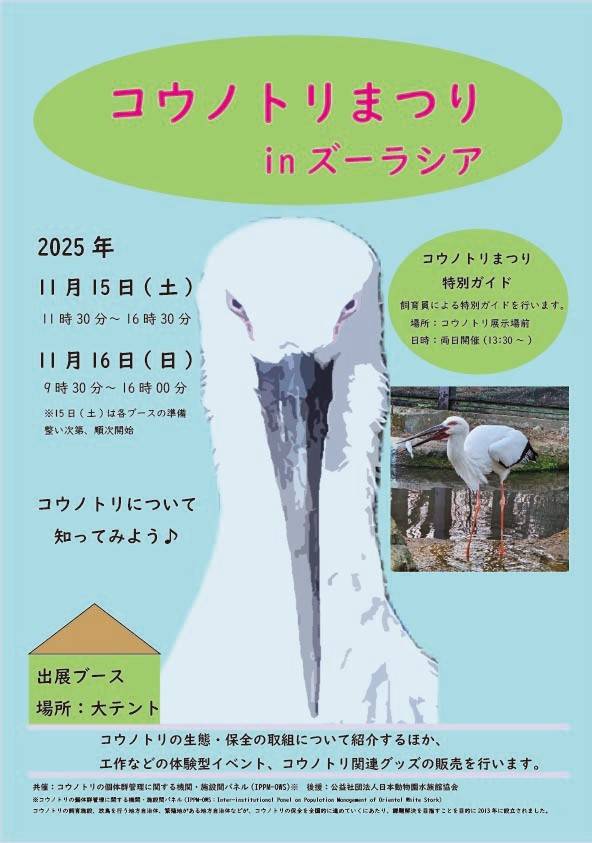 コウノトリまつりinズーラシア(ポスター).jpg