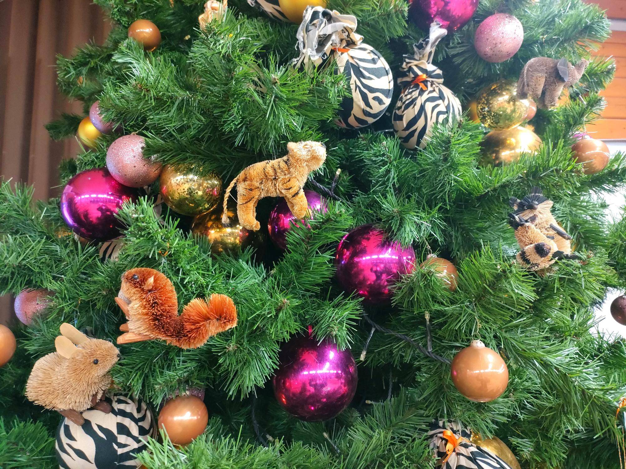 アニマルツリー (2).jpg