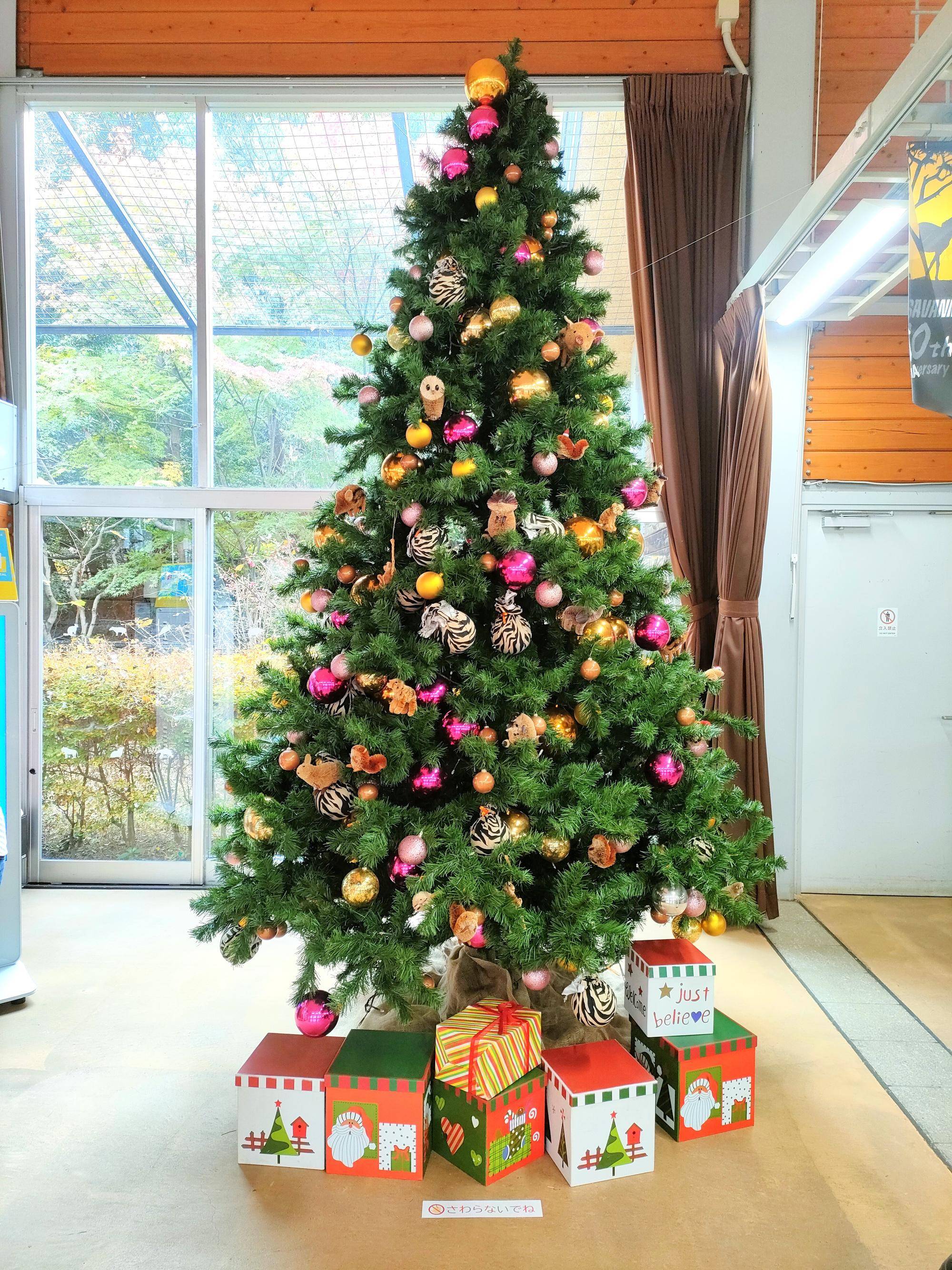 アニマルツリー (1).jpg