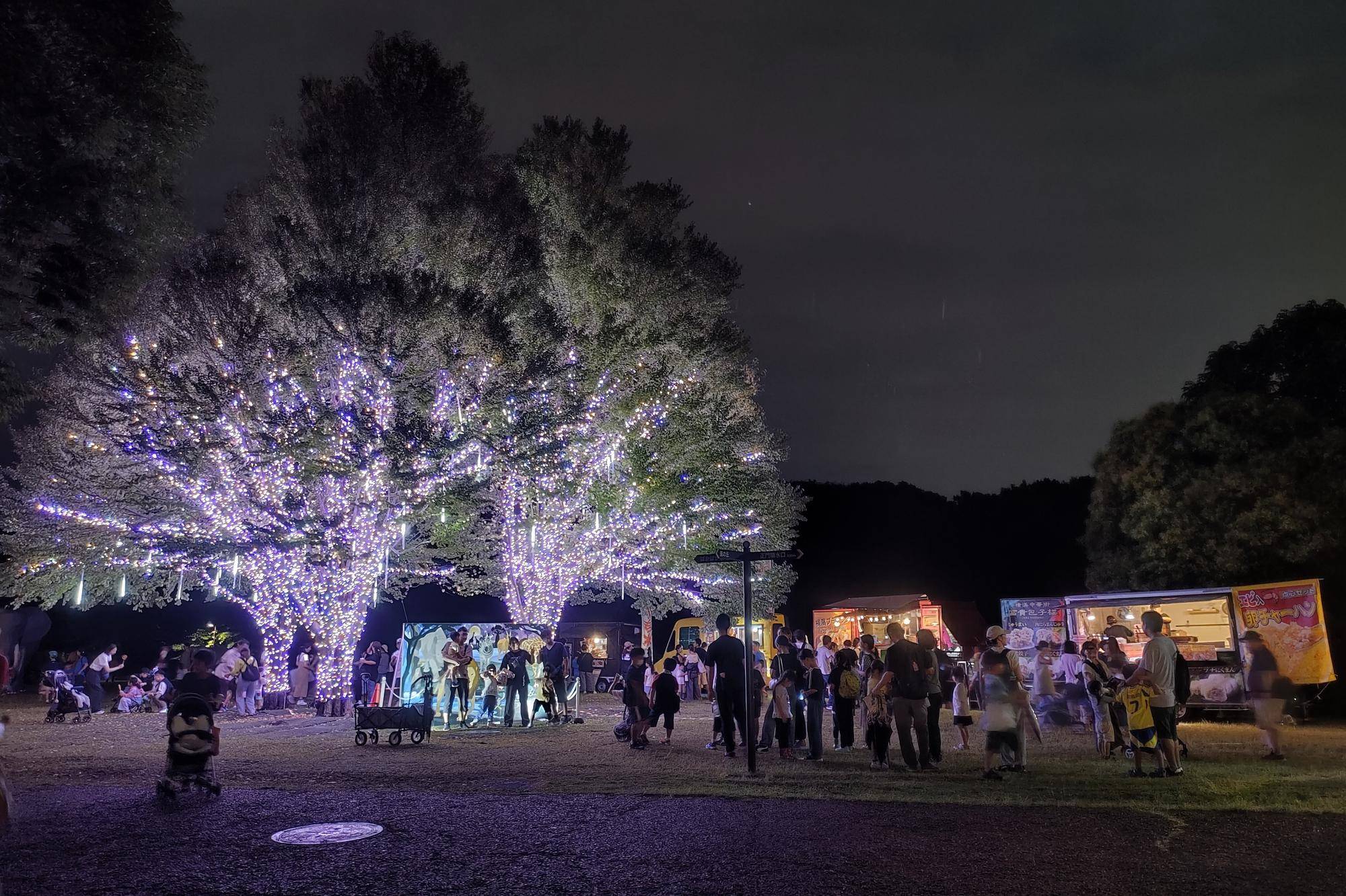 ころころ広場のフォトスポット (2).jpg