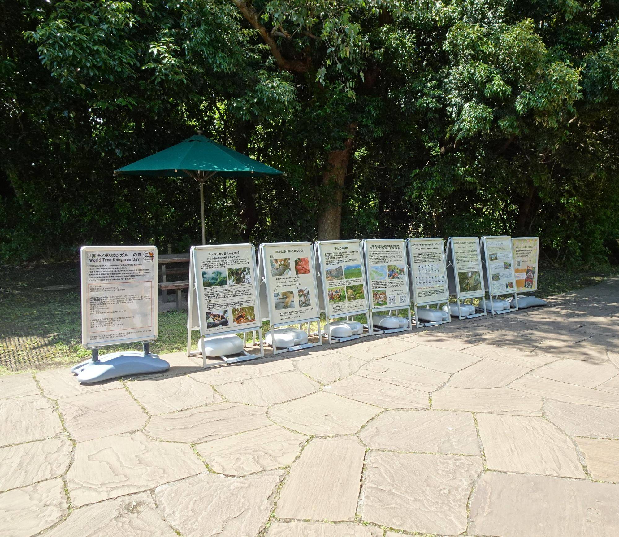 過去のパネル展の様子.jpg