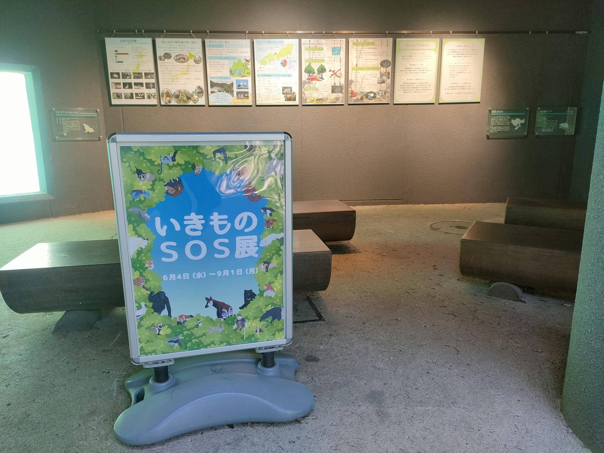 昨年のSOS展の様子 (1).jpg