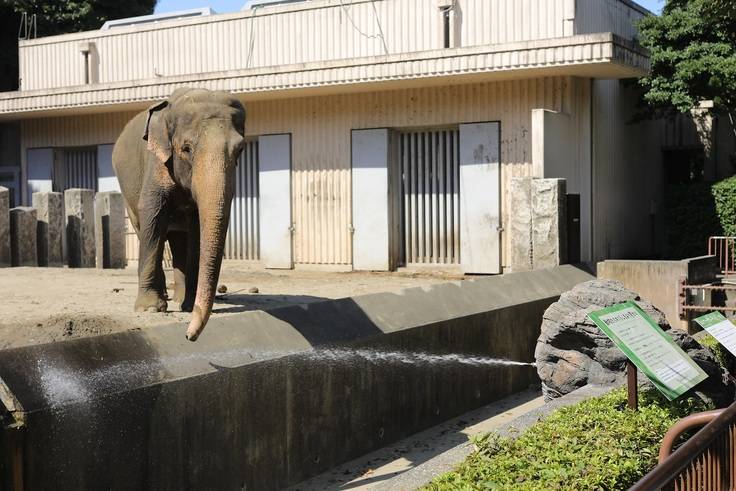 インドゾウの給水機（金沢動物園クラウドファンディング）.jpg