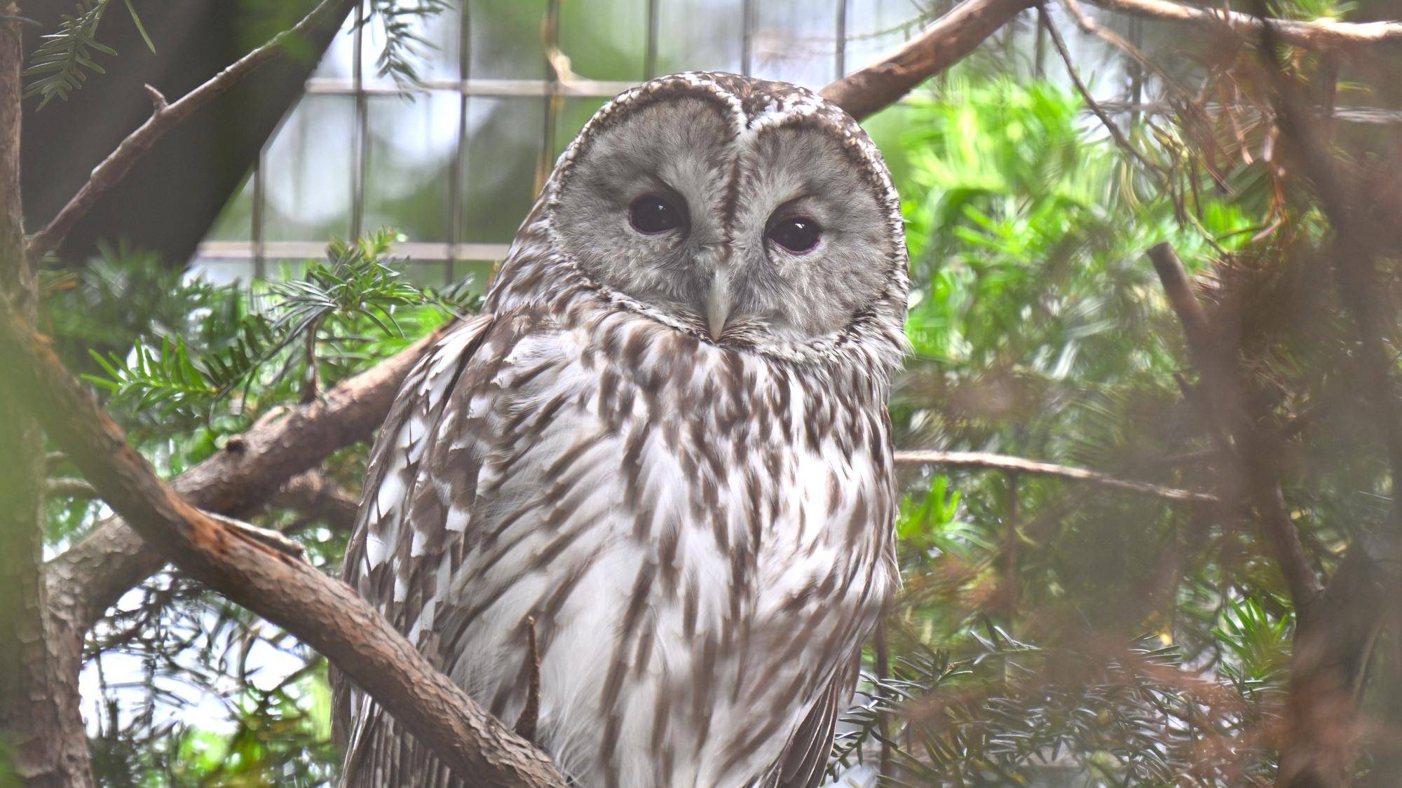 DSC_9772.jpg