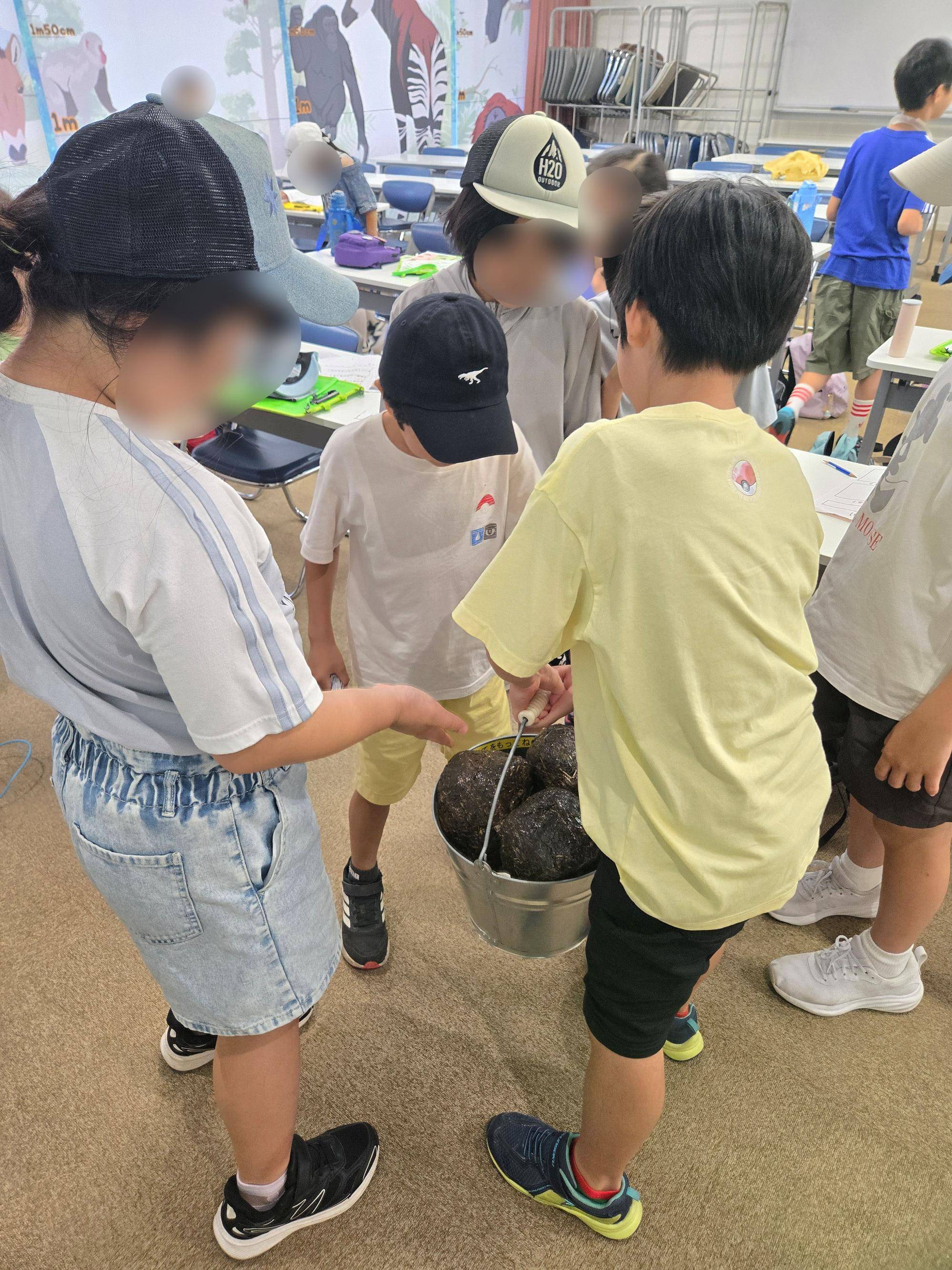 11ゾウ糞.jpg