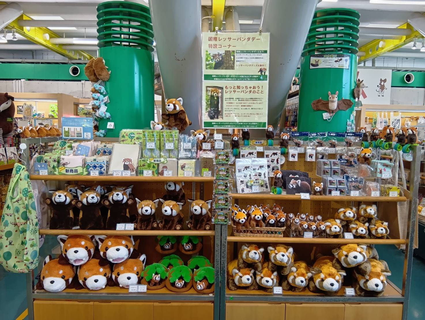 ①レッサーパンダコーナー展開_正面.jpg
