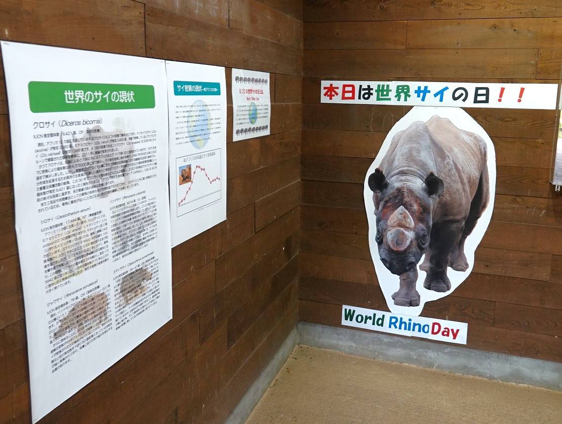 去年の様子（パネル）.jpg