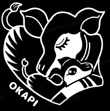 okapi 3.png