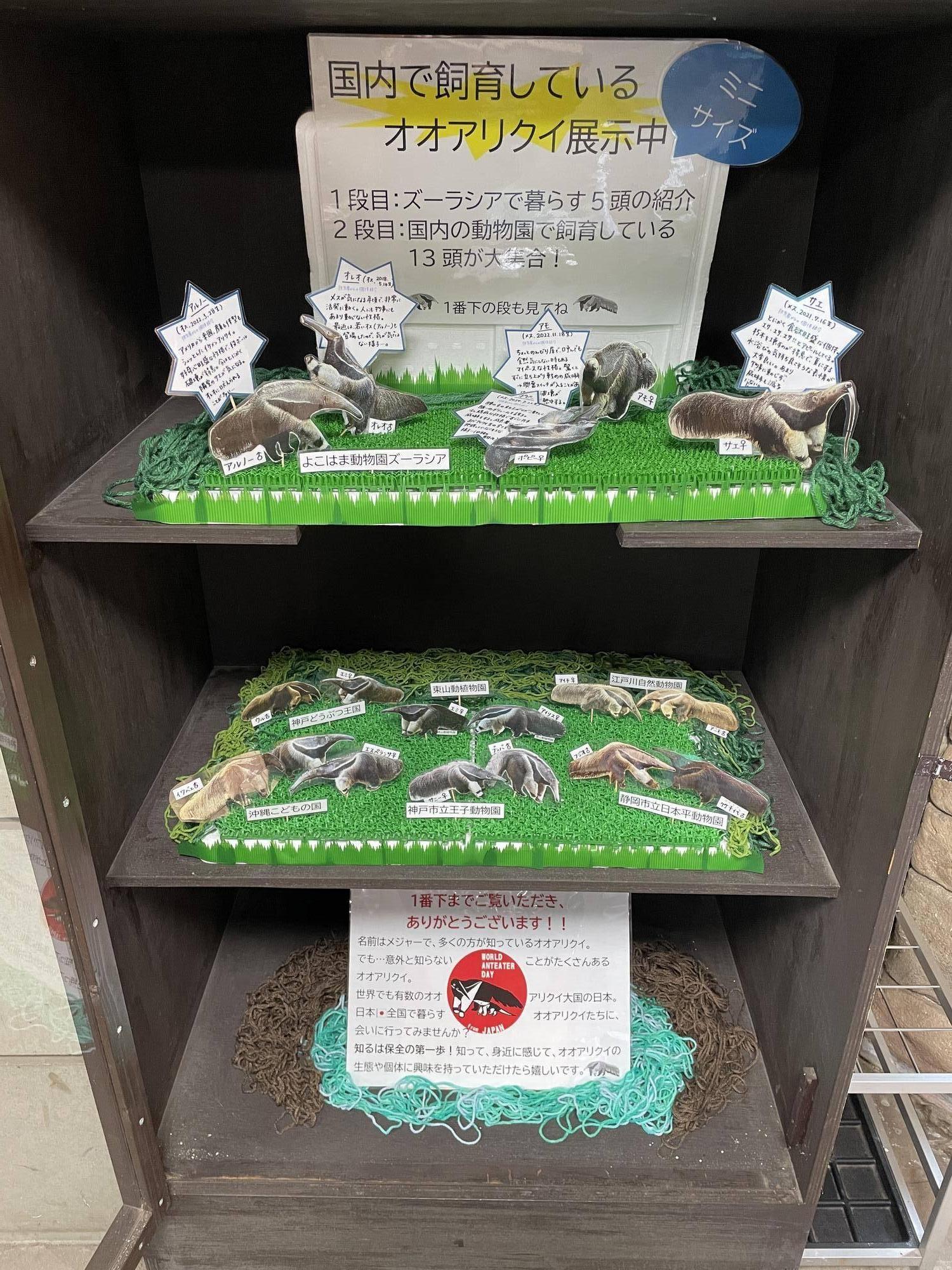 全国のオオアリクイ登場.jpg