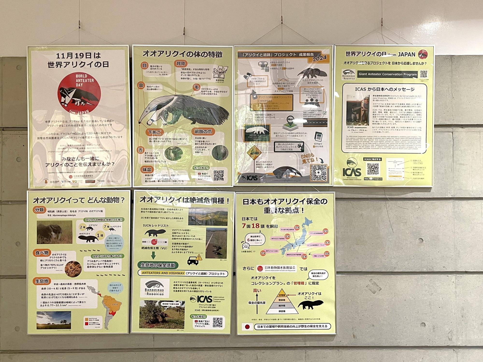 パネル掲示.jpg