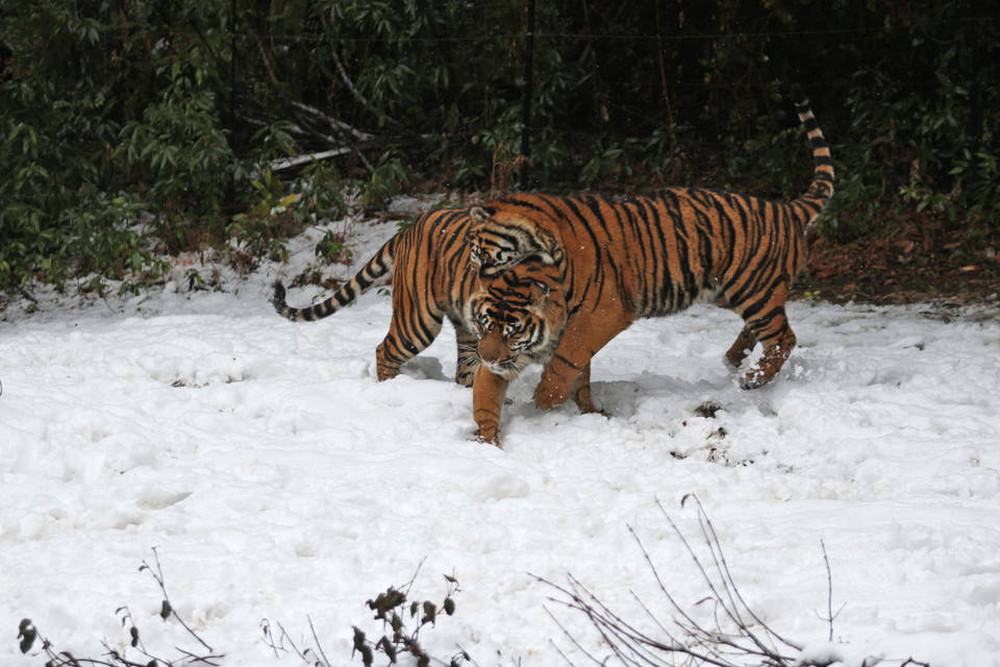 IMG_7675 - コピー.jpg