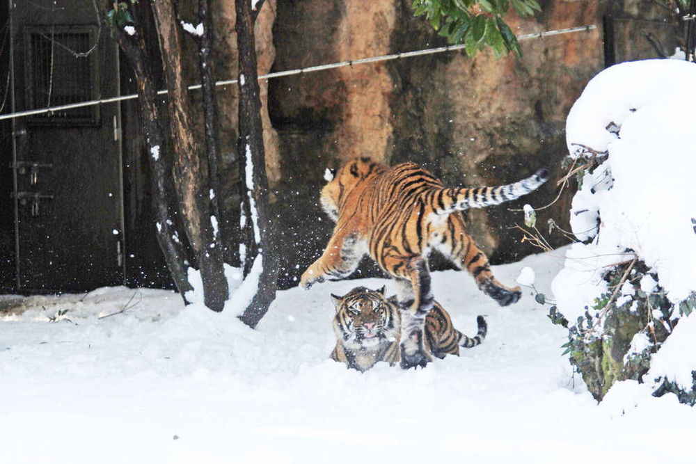 IMG_6741 - コピー.jpg