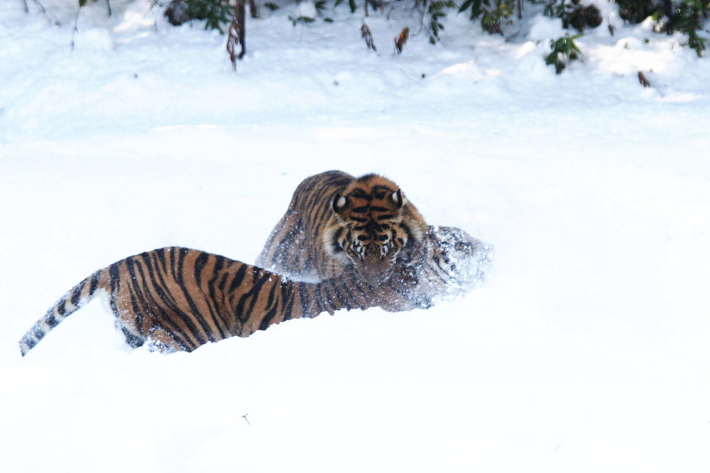 IMG_6644 - コピー.jpg