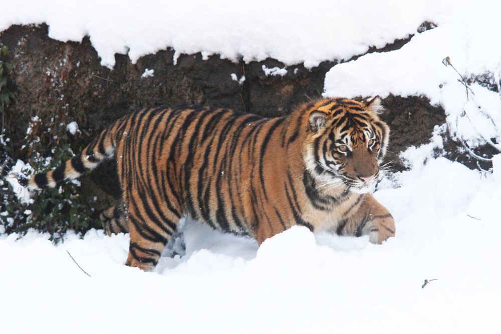 IMG_6575 - コピー.jpg