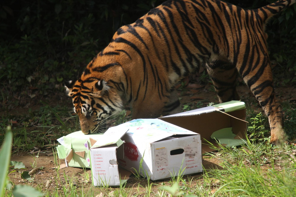 IMG_8076 - コピー.jpg