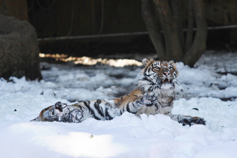 IMG_7249 - コピー.jpg