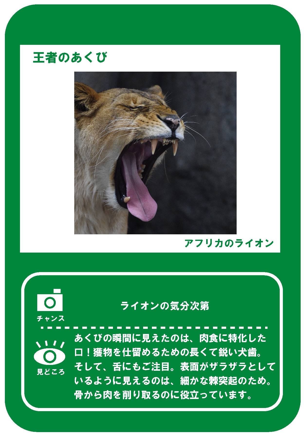 ⑩追加写真_ページ_2 - コピー.jpg