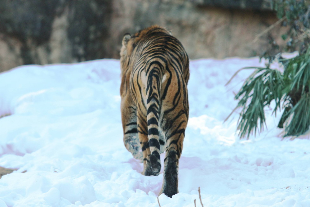 IMG_7401 - コピー.jpg