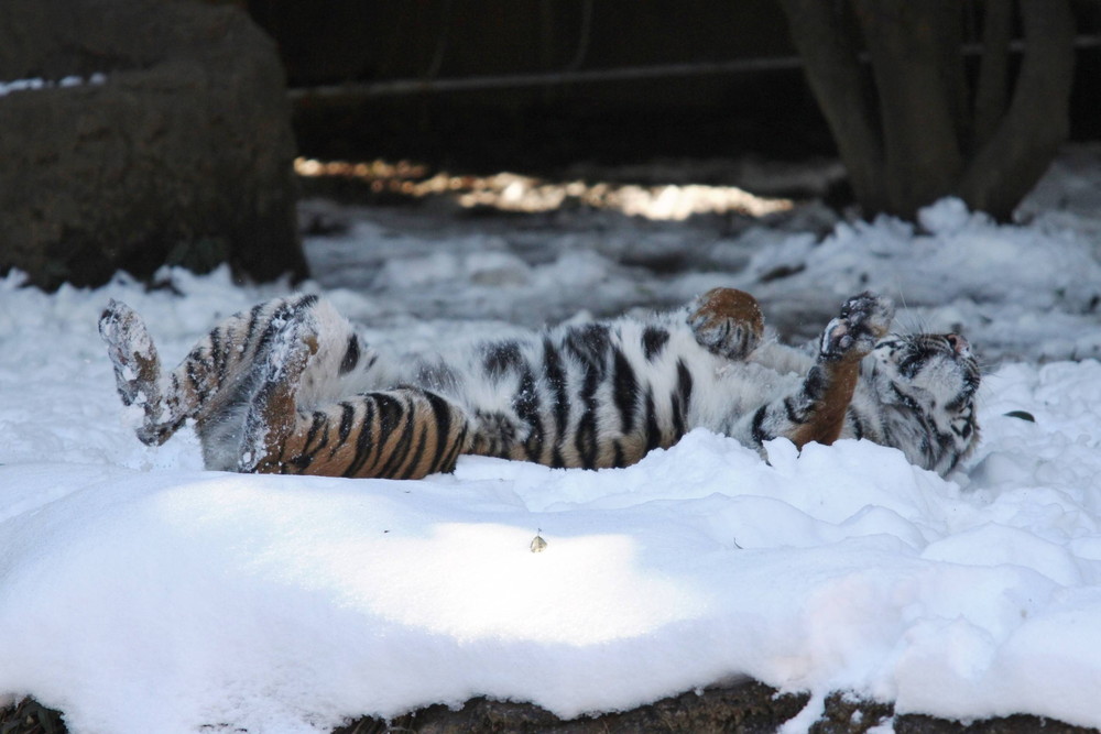 IMG_7244 - コピー.jpg