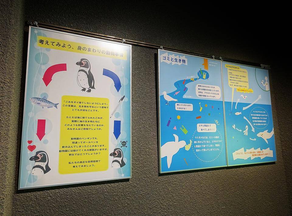 海のいきものSOS展 (5).jpg