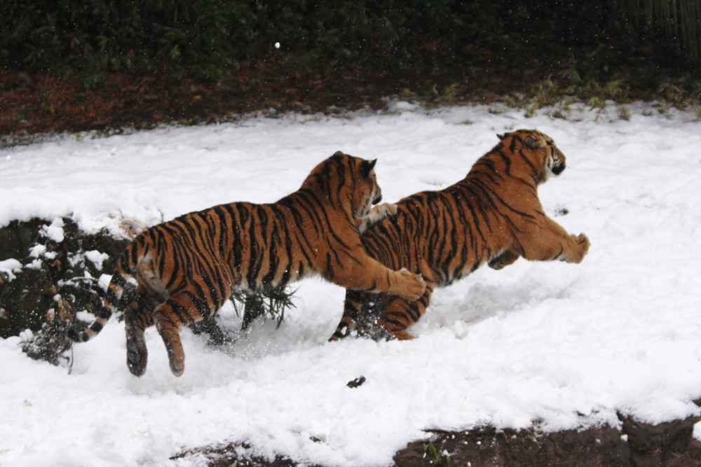 IMG_7551 - コピー.jpg