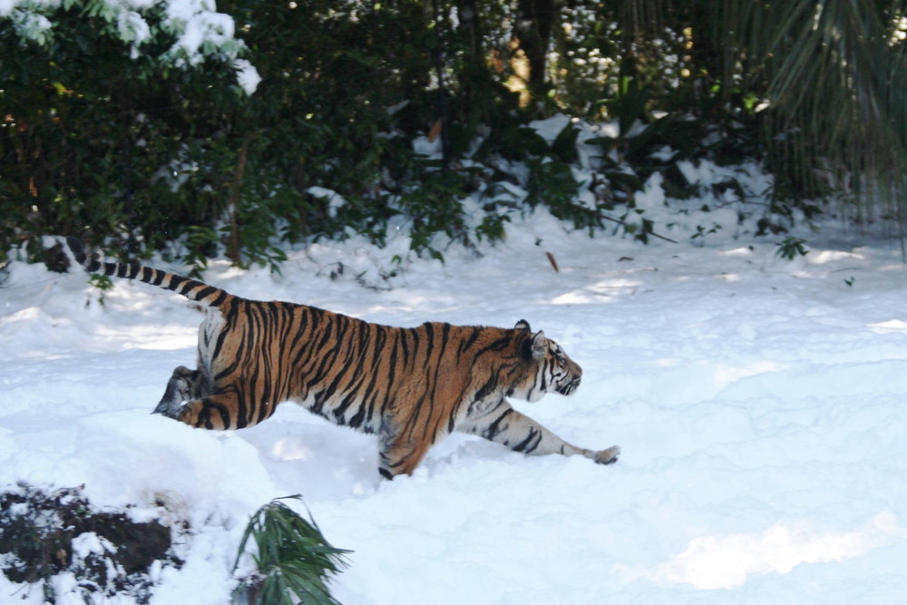 IMG_7030 - コピー.jpg