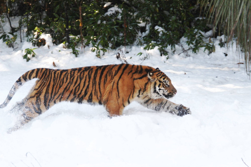 IMG_6723 - コピー.jpg