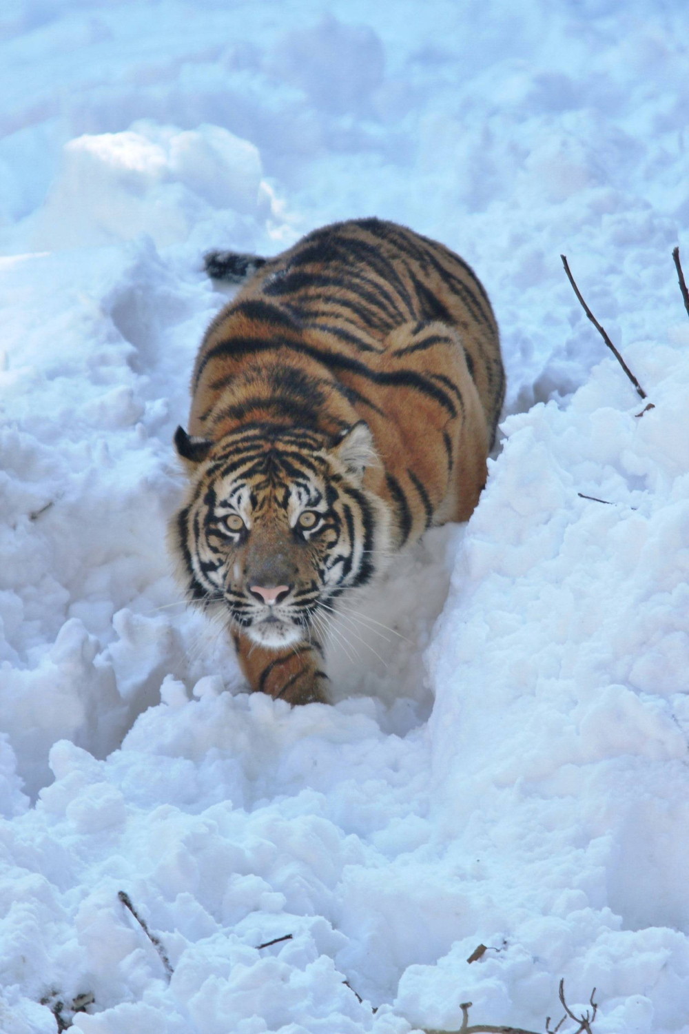 IMG_7116 - コピー.jpg