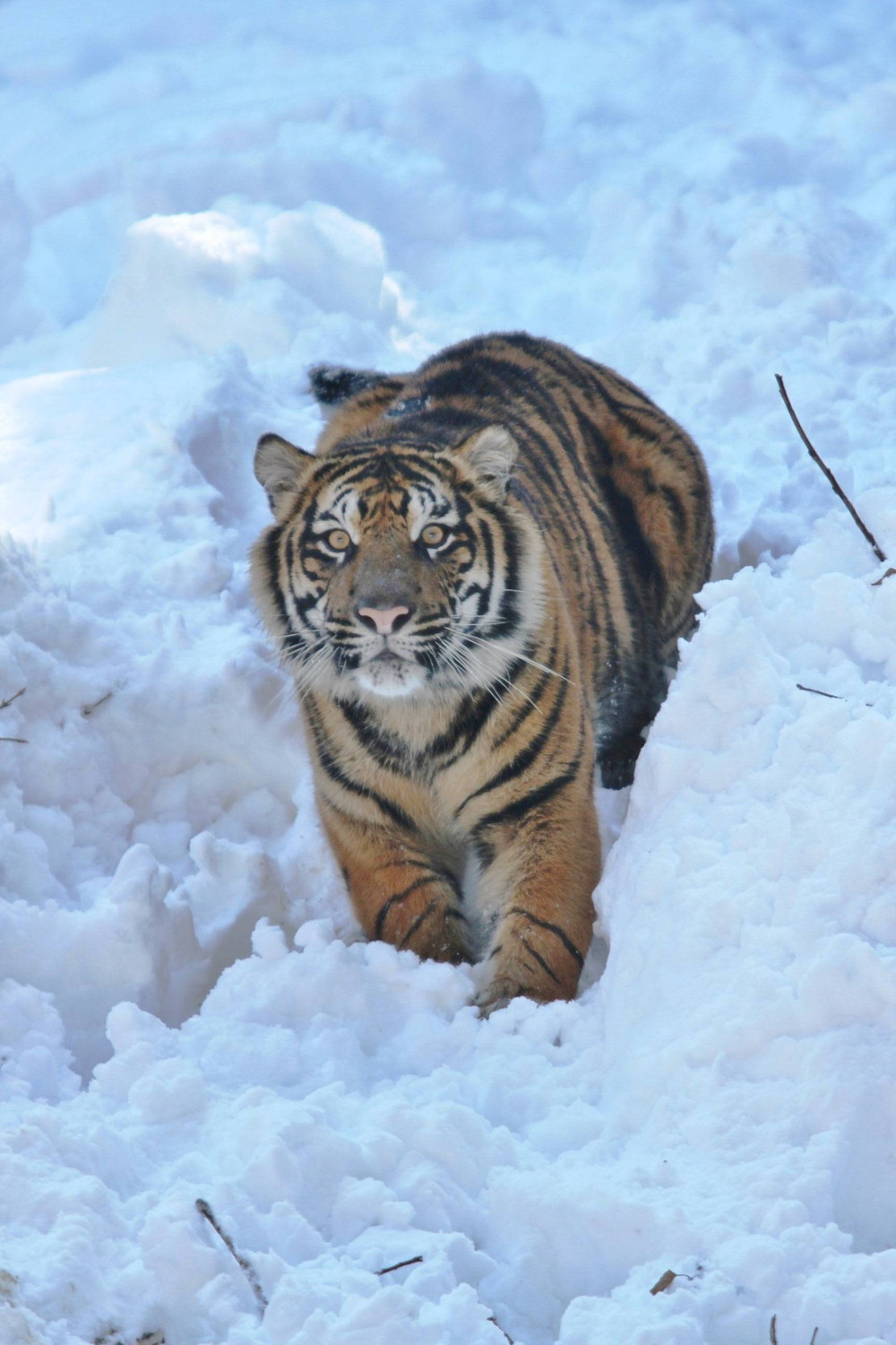 IMG_7117 - コピー.jpg