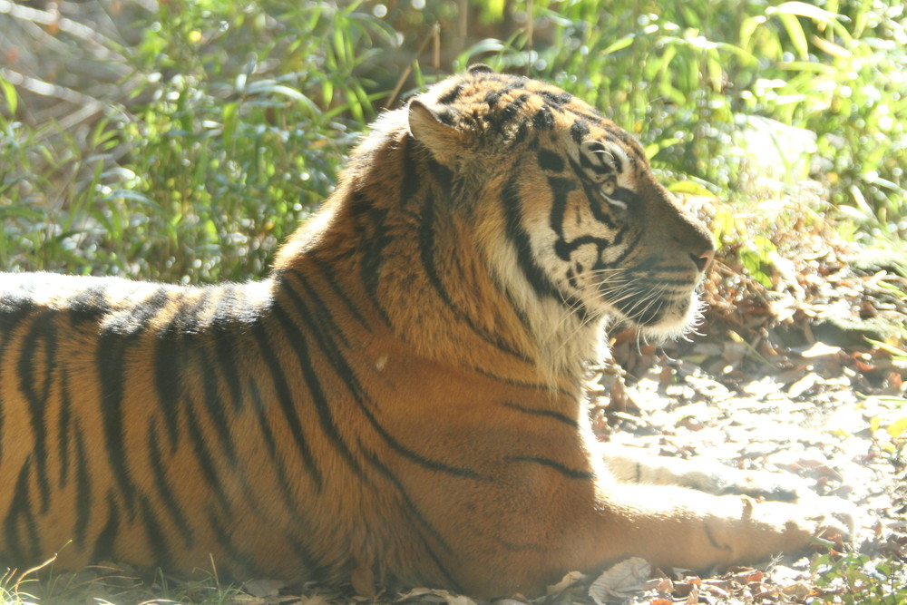 IMG_2781 - コピー.jpg