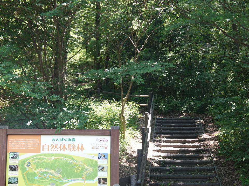 自然体験林.jpg