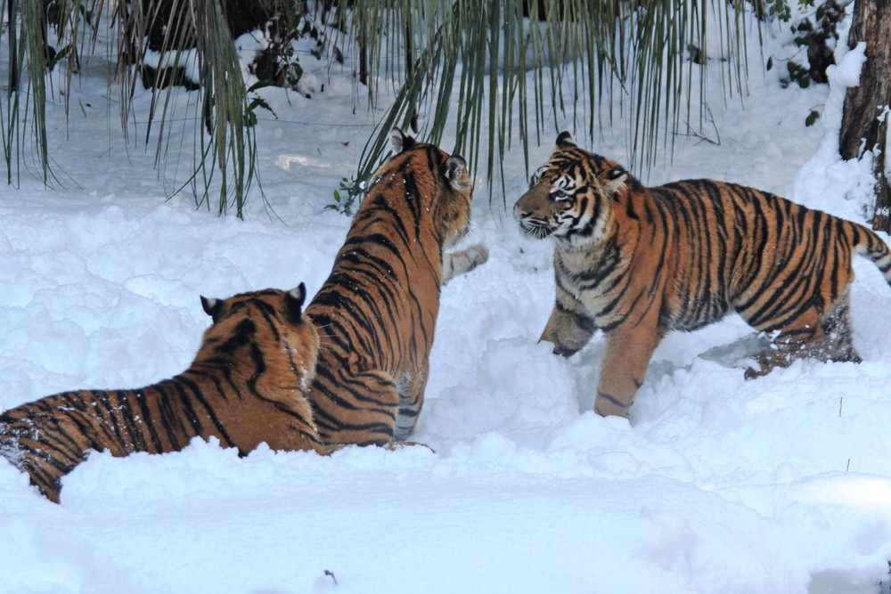 IMG_6855 - コピー.jpg