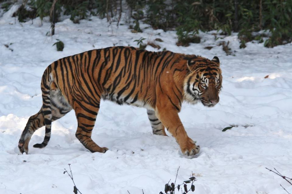 IMG_7391 - コピー.jpg