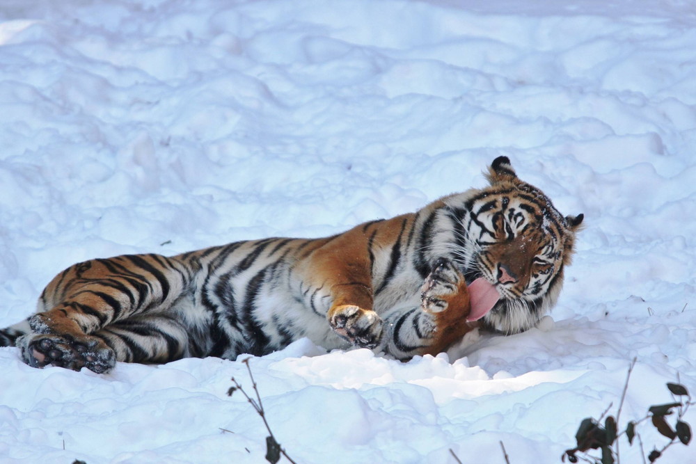 IMG_7210 - コピー.jpg