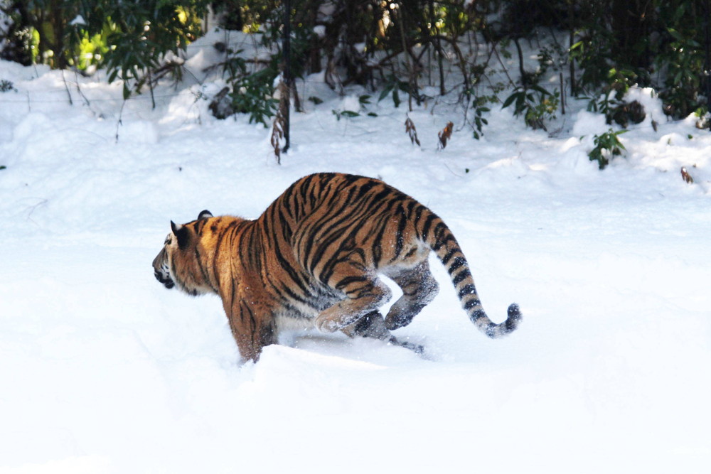 IMG_6634 - コピー.jpg