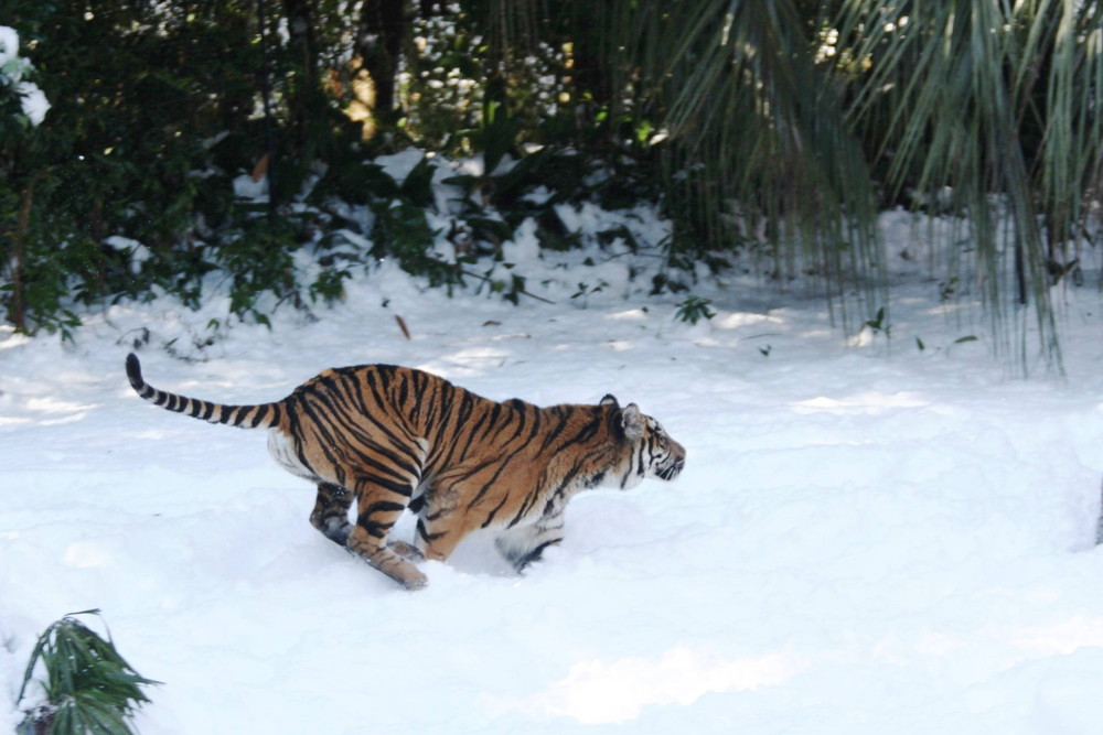 IMG_7031 - コピー.jpg