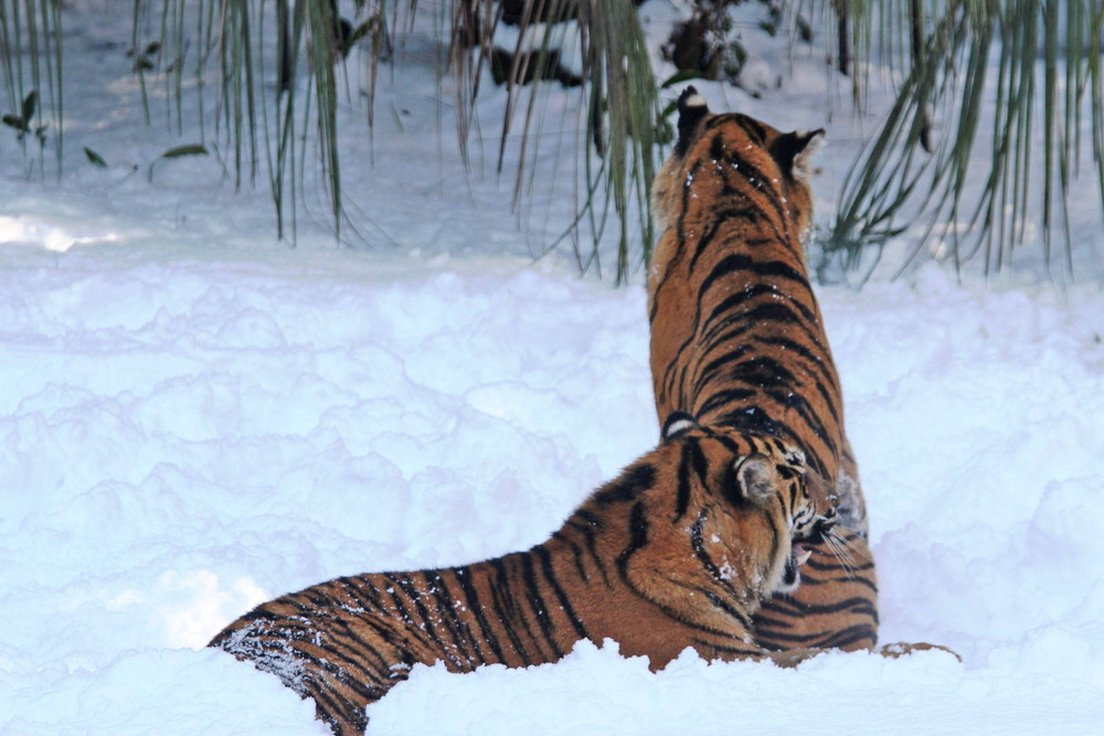 IMG_6854 - コピー.jpg