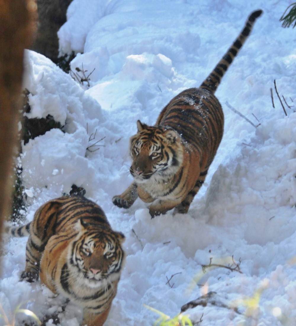 IMG_7138 - コピー.jpg