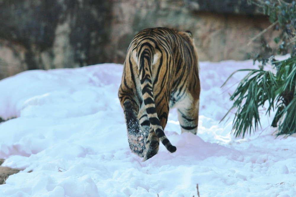 IMG_7402 - コピー.jpg