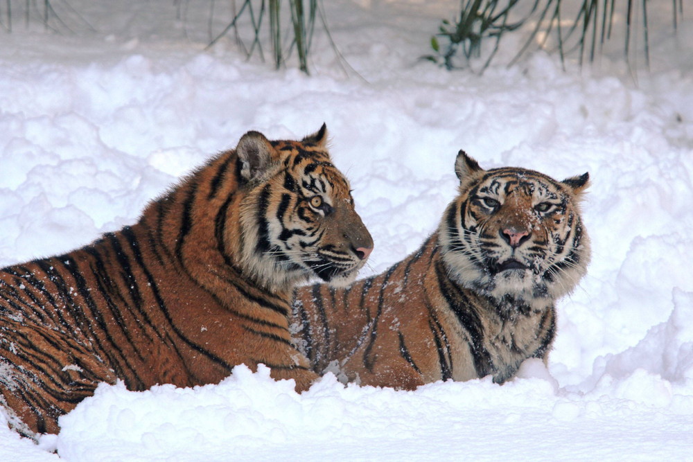 IMG_6840 - コピー.jpg