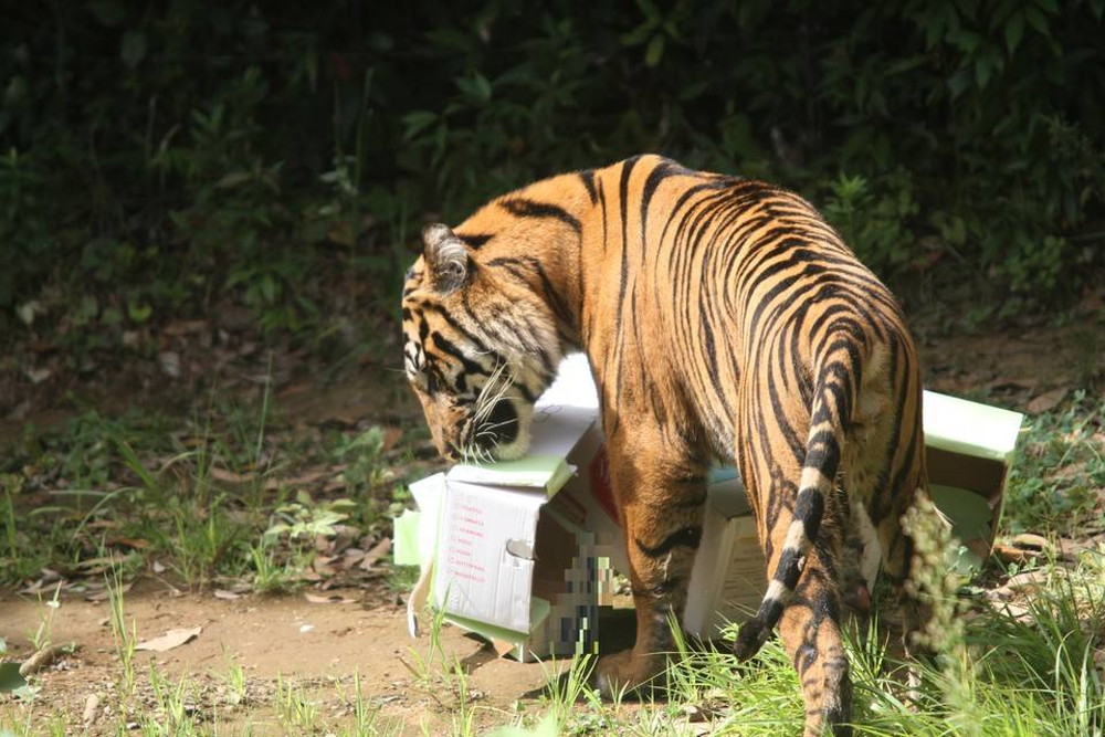 IMG_8073 - コピー.jpg