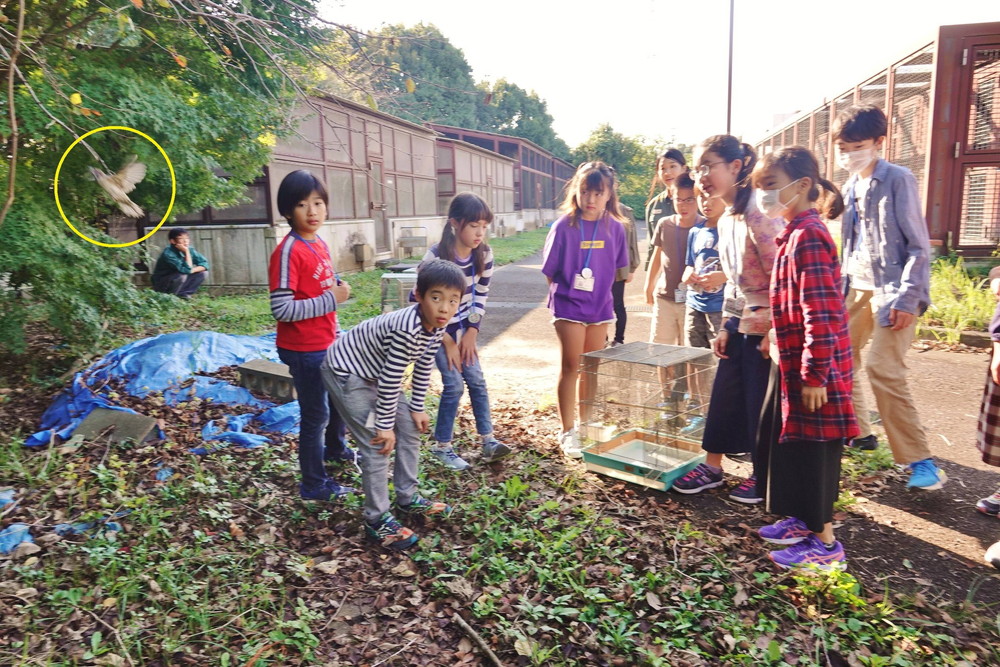 DSC08983 - コピー.jpg