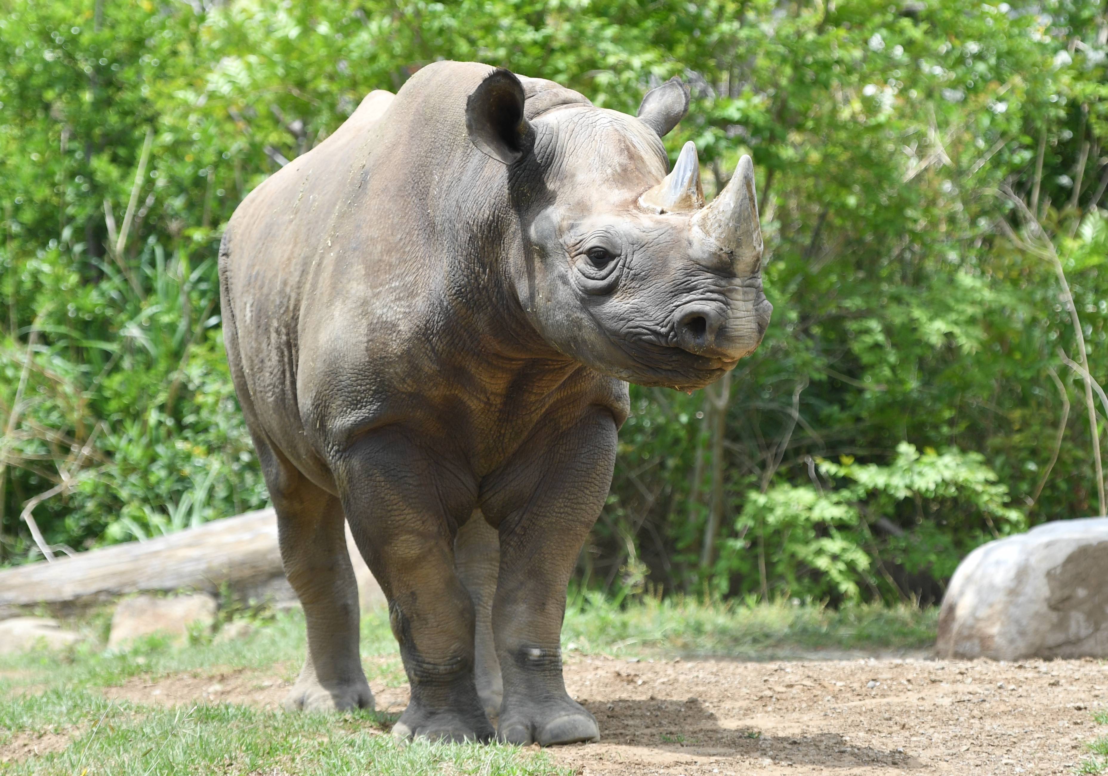 ☆アキリ (1).jpg