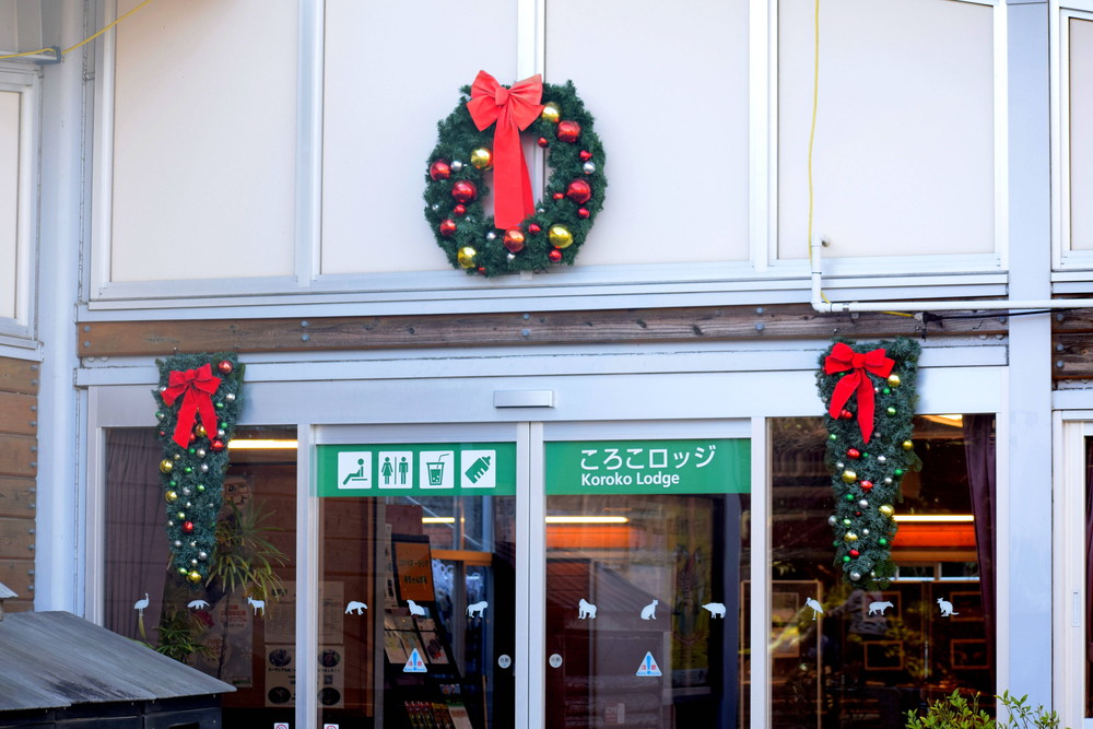 ロッジ前(補正).jpg