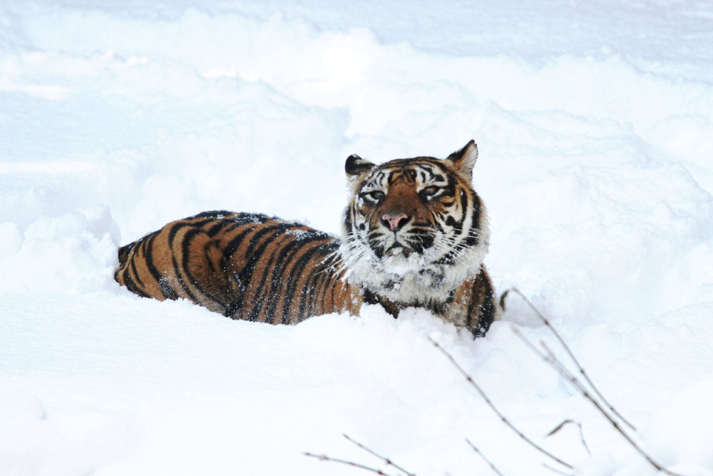 IMG_6561 - コピー.jpg