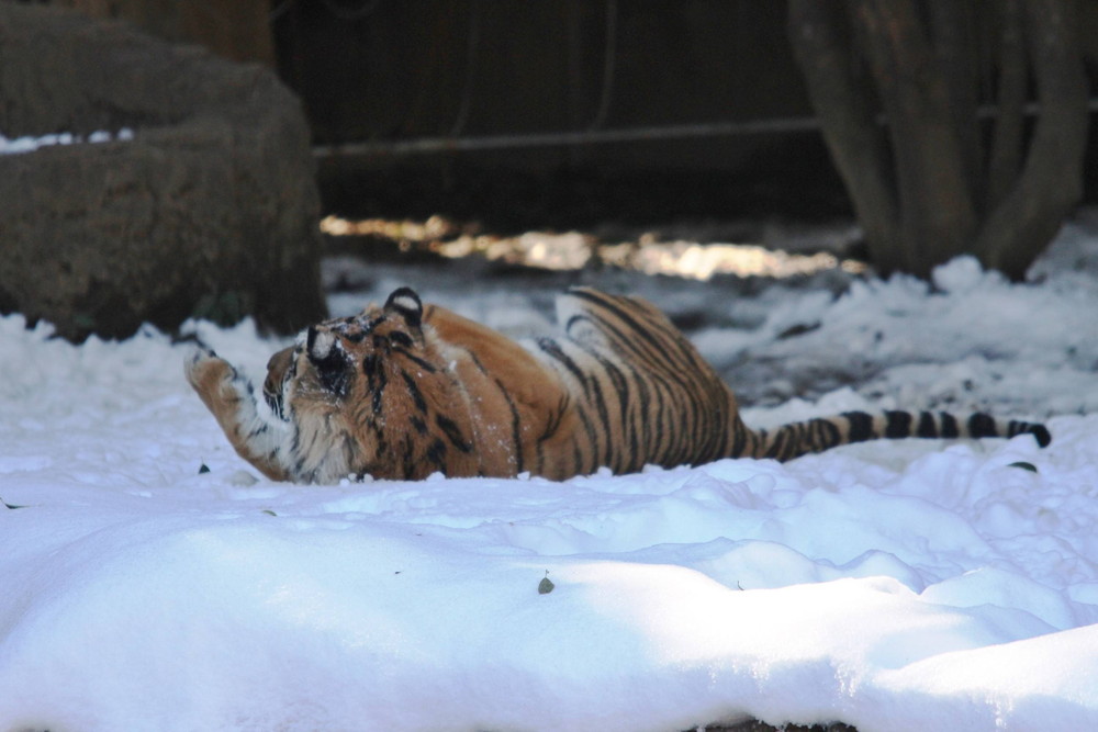 IMG_7191 - コピー.jpg