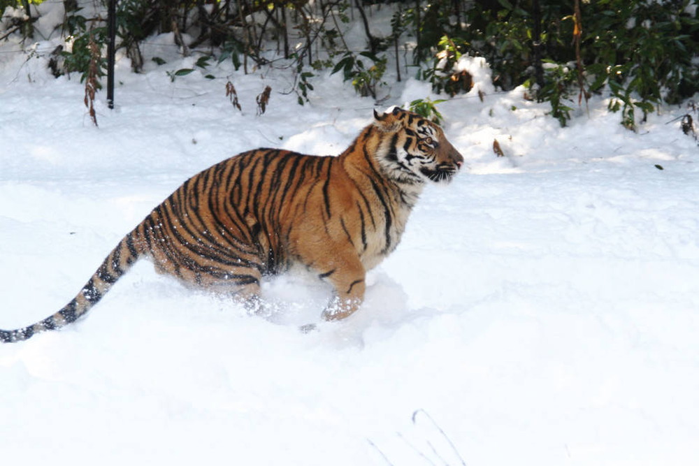 IMG_6721 - コピー.jpg