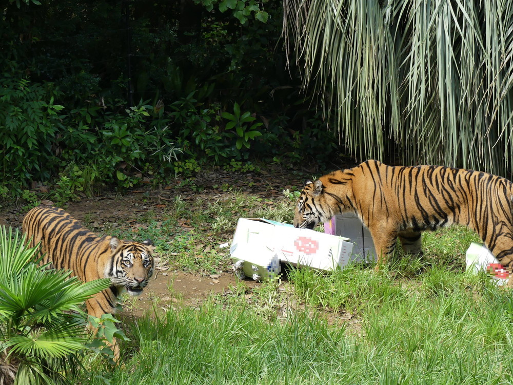 P1170494 - コピー.jpg