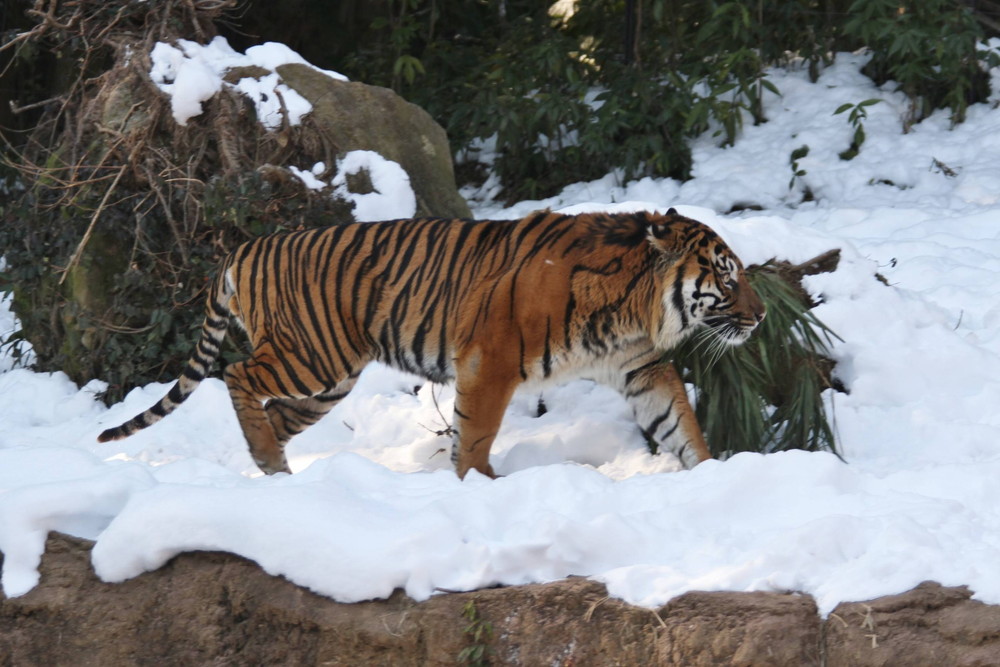 IMG_7384 - コピー.jpg