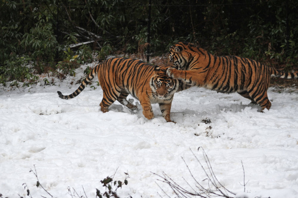 IMG_7673 - コピー.jpg